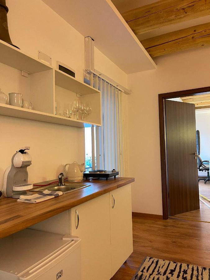 Savoya4 Old City Center Self Checkin Workspacestudio ティミショアラ エクステリア 写真