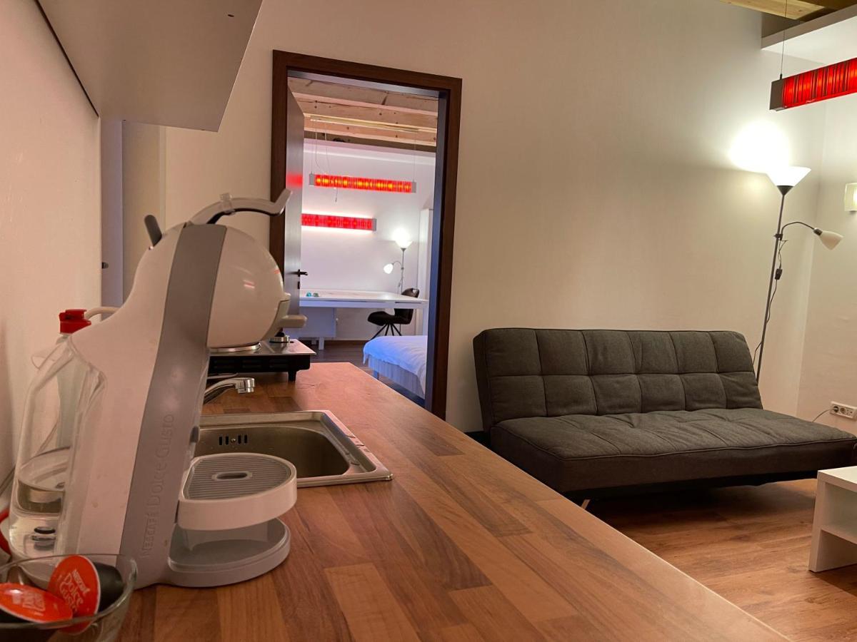 Savoya4 Old City Center Self Checkin Workspacestudio ティミショアラ エクステリア 写真